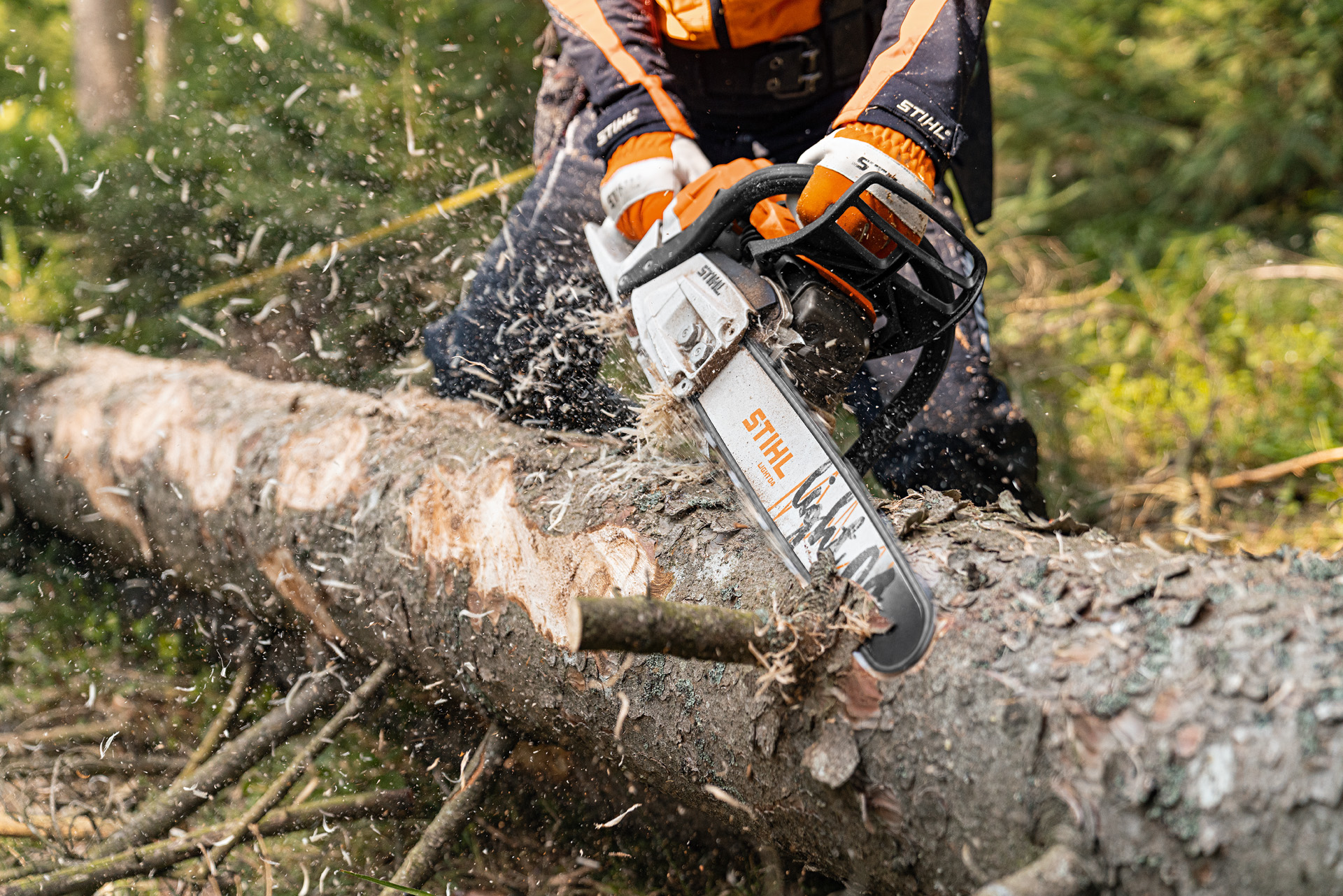 Un buștean este tăiat în pădure cu motoferăstrăul pe benzină STIHL MS 261 C-M, cu motor 2-Mix și șină port-lanț Light 04