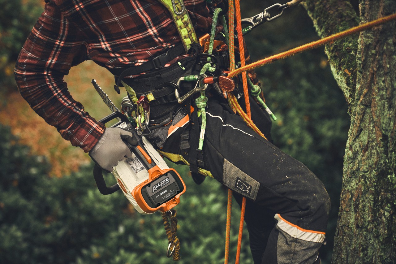 Prim-plan cu o persoană care se cațără într-un copac folosind ferăstrăul cu lanț fără fir STIHL MSA 190 T.