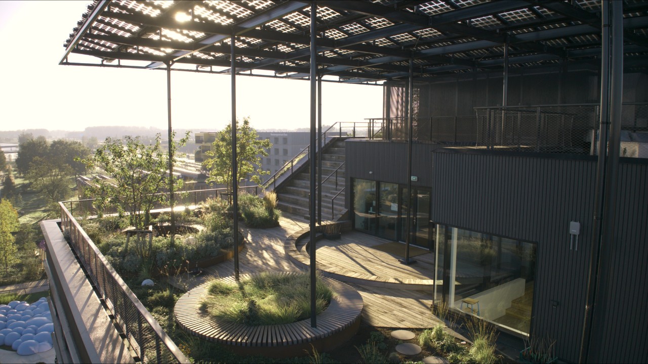 Fotografie a unui campus verde