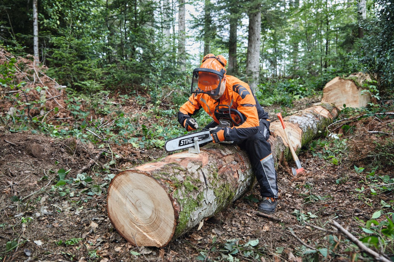 Un bărbat îmbrăcat în echipament de protecție taie un copac deja căzut cu un motoferăstrău STIHL cu șină plină