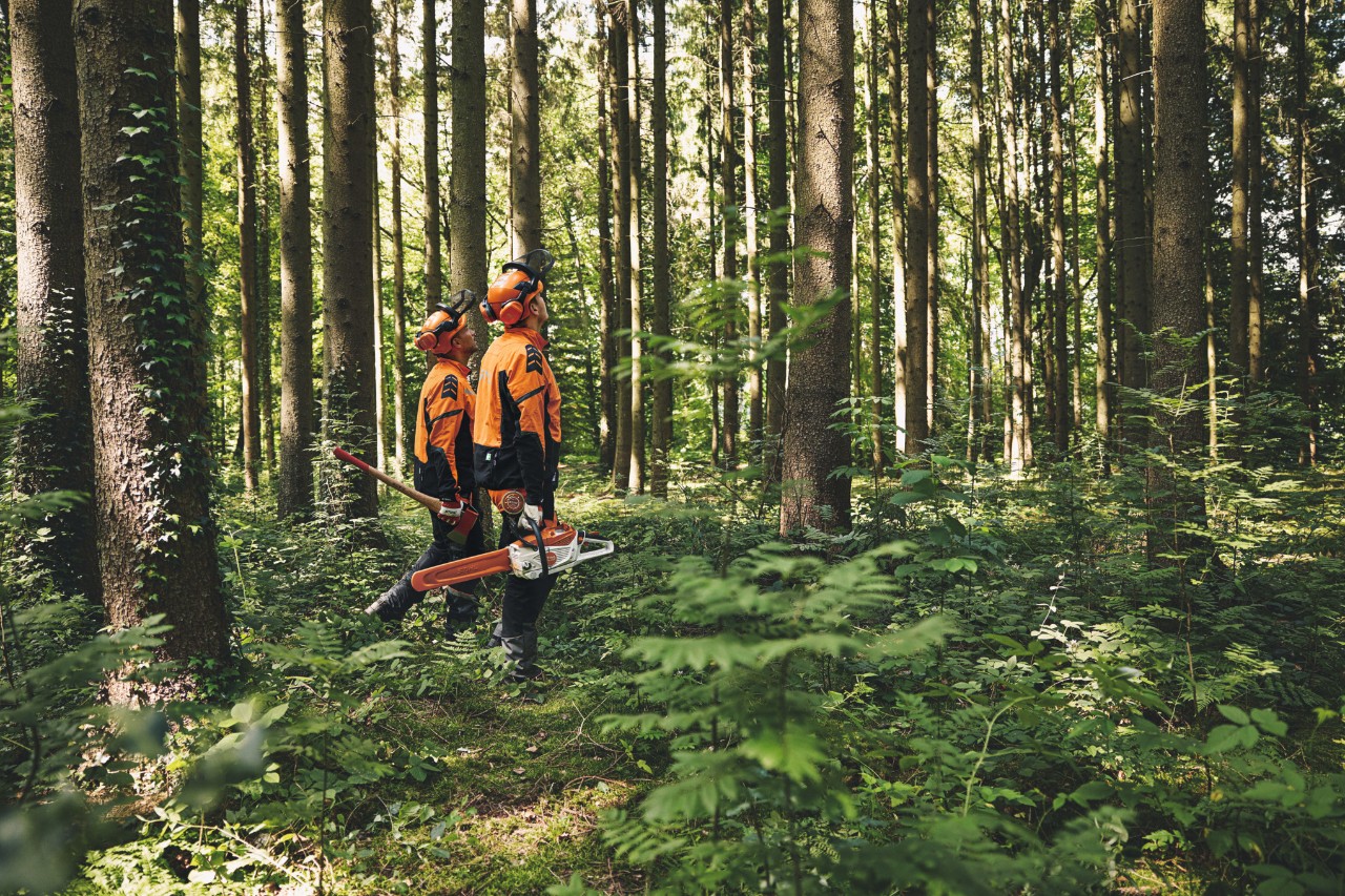 Doi bărbați în echipament de protecție merg prin pădure cu un topor forestier și un motoferăstrău cu acumulator STIHL, cu privirea îndreptată în sus