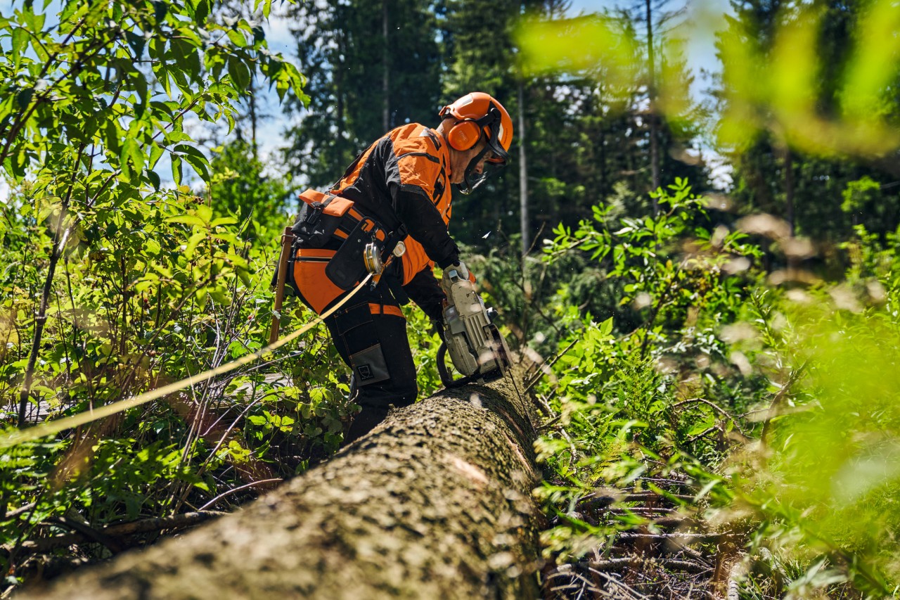 O persoană cu echipament de protecție și setul forestier Pro în pădure. 