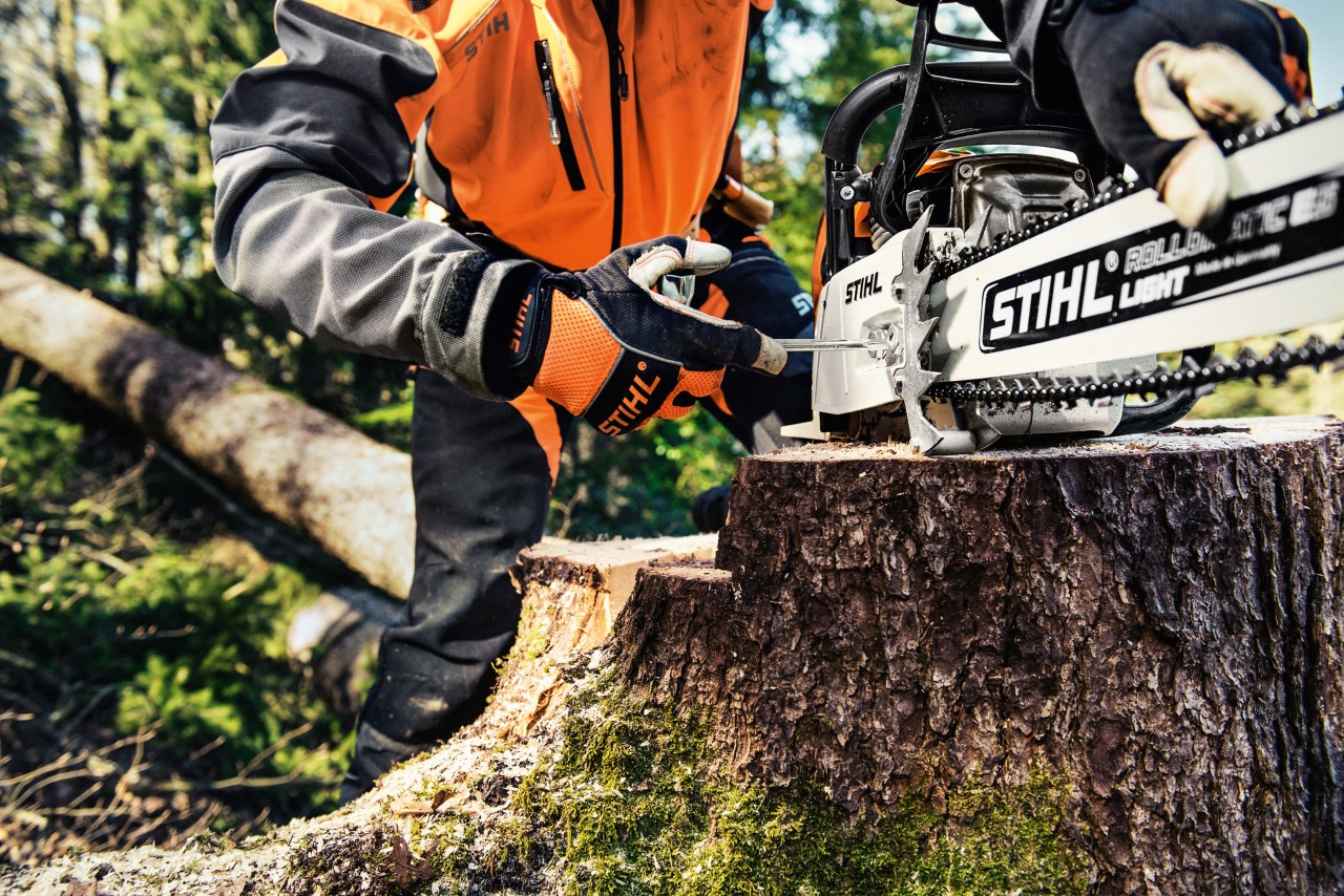 Motoferăstrăul pe benzină STIHL MS 461 se află pe o buturugă, iar în spatele lui o persoană în îmbrăcăminte de protecție