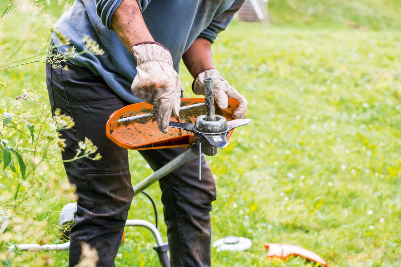 Capul de cosit este curățat la întreținerea motocoasei STIHL FS 131