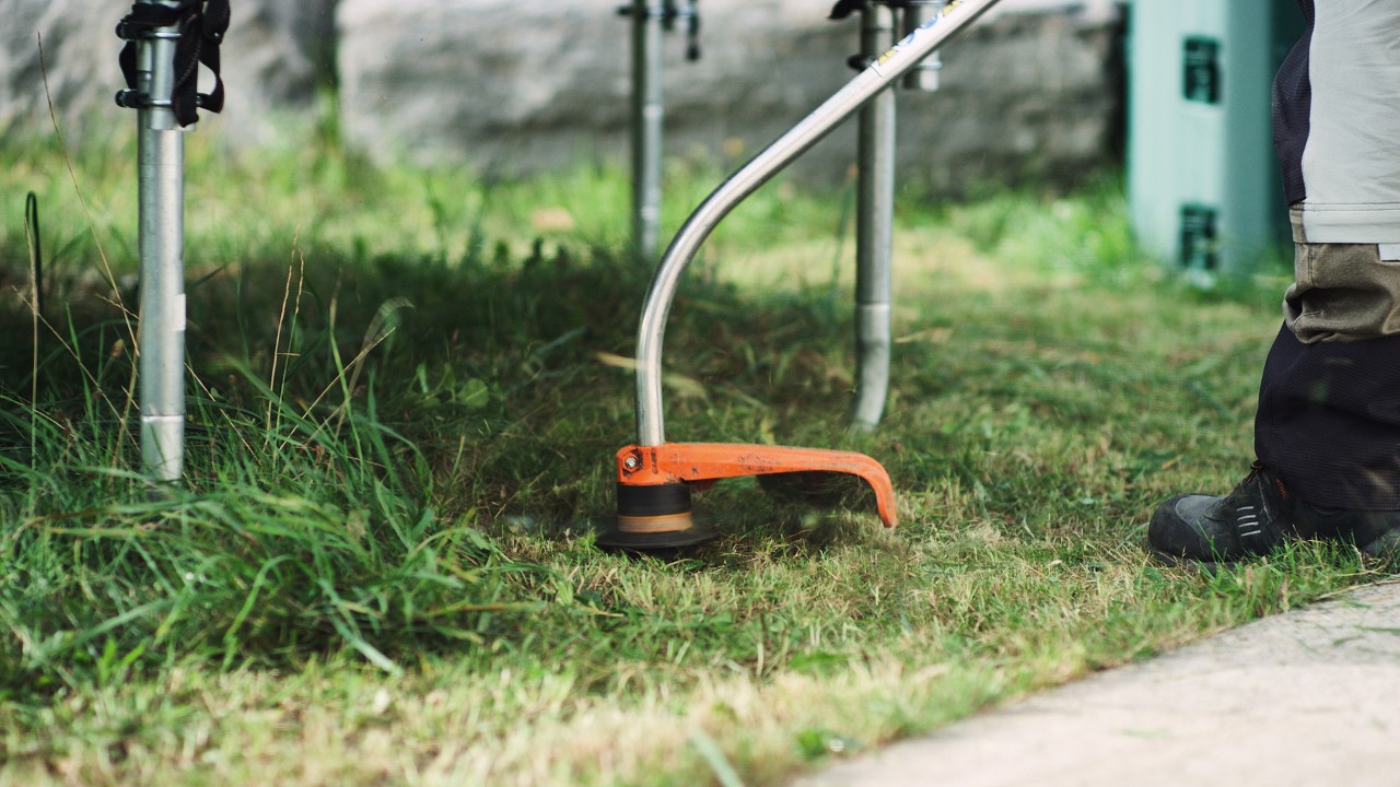 Marginile gazonului sunt tunse cu motocoasa pe benzină STIHL FS 38