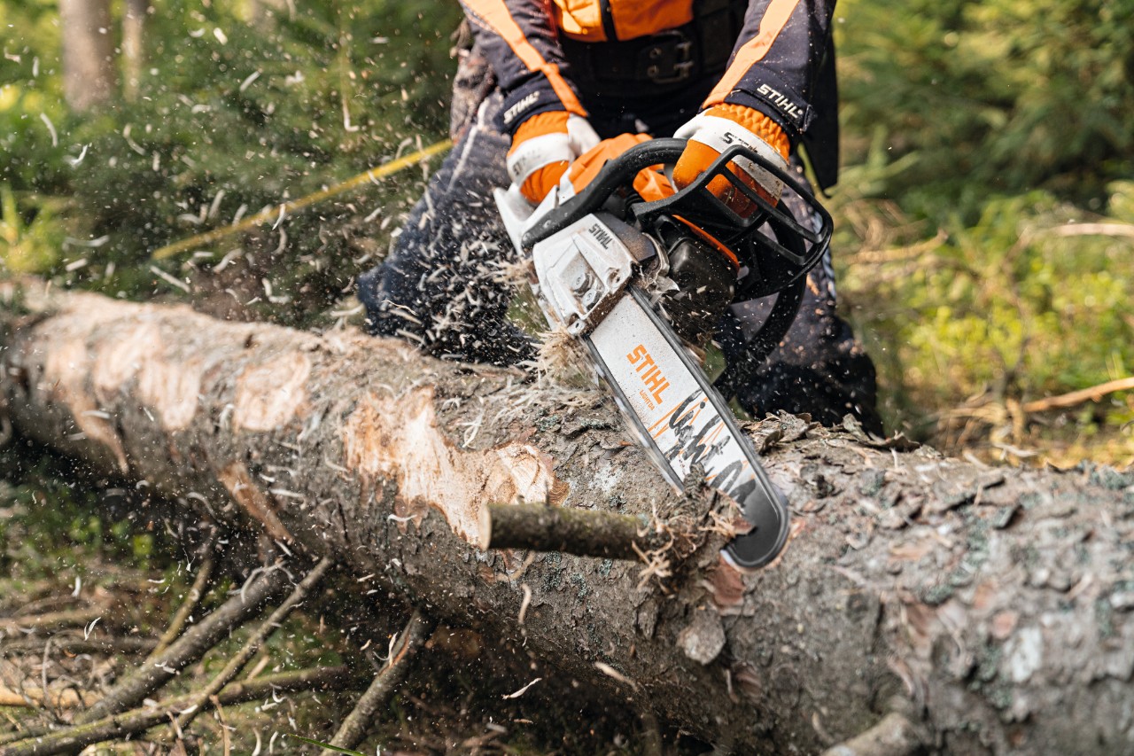 Un buștean este tăiat în pădure cu motoferăstrăul pe benzină STIHL MS 261 C-M, cu motor 2-Mix și șină port-lanț Light 04