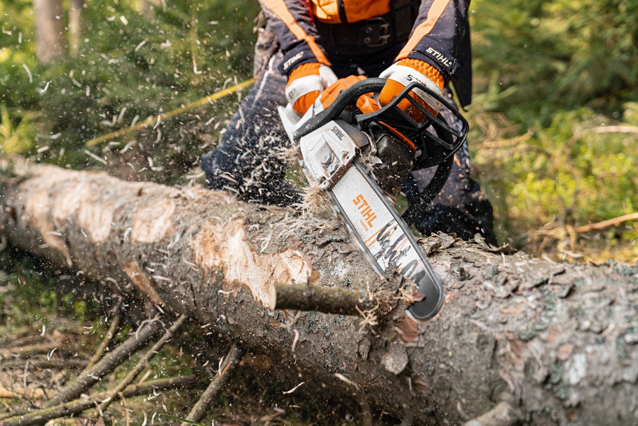 Un buștean este tăiat în pădure cu motoferăstrăul pe benzină STIHL MS 261 C-M, cu motor 2-Mix și șină port-lanț Light 04